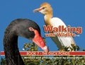 Cover: Walking with Wildlife - Book 7 - Jenny Dyer