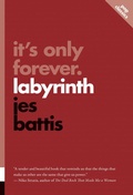 Cover: It's Only Forever - ECW Press,Canada