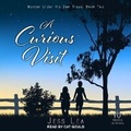 Cover: A Curious Visit - Tantor Audio