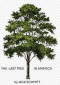 Cover: The Last Tree in America - Jack Schmitt