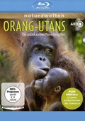Cover: Orang-Utans - Die unbekannten Menschenaffen + Plus Special: 60 Jahre Expeditionen ins Tierreich - OneGate Media
