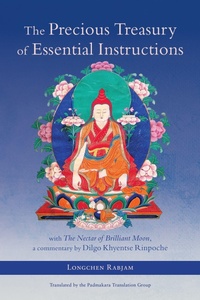 Enlarge image Cover: The Precious Treasury of Essential Instructions - Shambhala Publications Inc