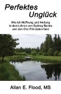 Cover: Perfektes Unglueck - CCB Publishing