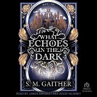 Enlarge image Cover: What Echoes in the Dark - Tantor Audio