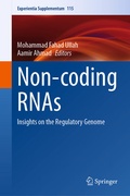 Cover: Non-coding RNAs - Springer
