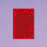 Enlarge image Cover: The Immense Regression - K. Verlag Anna-Sophie Springer
