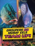 Cover: Groupers and Moray Eels Team Up! - Capstone Press
