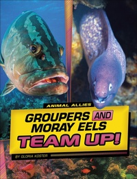 Abbildung von: Groupers and Moray Eels Team Up! - Capstone