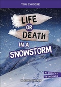 Cover: Life or Death in a Snowstorm - Capstone Press