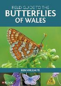 Enlarge image Cover: Field Guide to the Butterflies of Wales - Pelagic Publishing