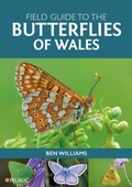 Cover: Field Guide to the Butterflies of Wales - Pelagic Publishing