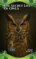 Cover: The Secret Life of Owls - John March