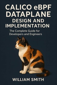 Abbildung von: Calico eBPF Dataplane Design and Implementation - HiTeX Press