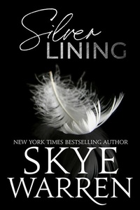 Enlarge image Cover: Silver Lining - Skye Warren
