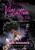 Cover: Via Lattea im Echo - BoD - Books on Demand
