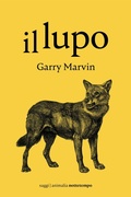Cover: Il lupo - Nottetempo