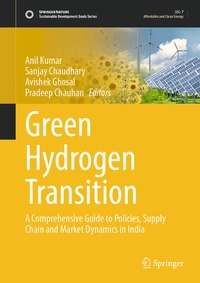 Enlarge image Cover: Green Hydrogen Transition - Springer