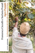 Cover: Agro Punjab - Nottetempo