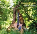 Cover: Bright or Blue - Galileo Music Communication GmbH / F&uuml;rstenfeldbr&uuml;ck