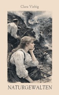 Cover: Naturgewalten - e-artnow