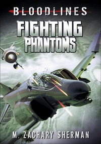 Abbildung von: Fighting Phantoms - Capstone