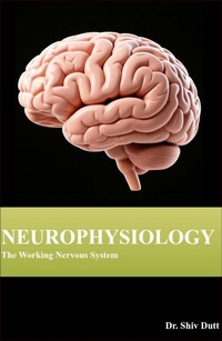 Abbildung von: Neurophysiology: The Working Nervous System - Shiv Dutt