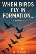 Cover: When Birds Fly In Formation - Kitsap Publishing