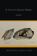 Cover: A Hunch About Water - Finishing Line Press