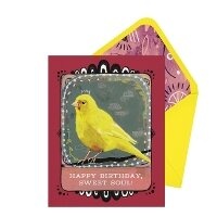 Abbildung von: Canary Birthday Card - Em & Friends
