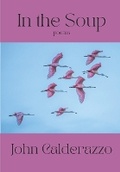 Cover: In The Soup - Middle Creek Publishing & Audio