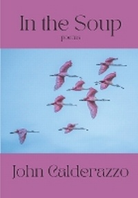 Enlarge image Cover: In The Soup - Middle Creek Publishing & Audio