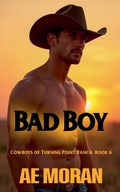 Cover: Bad Boy - Invisible Publishing Company