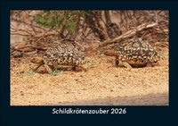 Abbildung von: Schildkrötenzauber 2026 Fotokalender DIN A5 - Vero Kalender