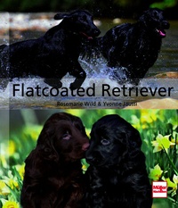 Abbildung von: Flatcoated Retriever - Müller Rüschlikon