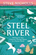 Cover: Steel River - Apollo