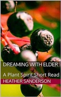 Bild: Dreaming with Elder - MAJESTIC WISDOM PUBLISHING