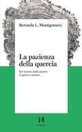 Cover: La pazienza della quercia - Il Margine