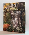 Cover: Zwischen Licht und Stille - Stiftung Schlosspark Pansevitz