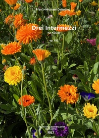 Abbildung von: Drei Intermezzi für Klavier - Musikverlag Deimling