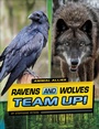 Cover: Ravens and Wolves Team Up! - Capstone