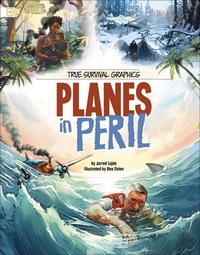 Abbildung von: Planes in Peril - Capstone