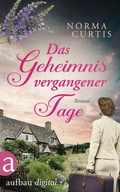 Cover: Das Geheimnis vergangener Tage - Aufbau