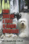Cover: Como sobrevivi a traves de grandes adversidades - BOOKBABY
