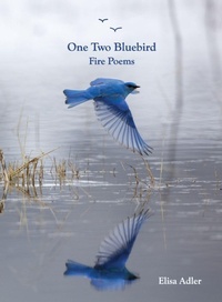 Enlarge image Cover: One Two Bluebird - Gwarlingo Press