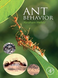 Abbildung von: Ant Behavior - Elsevier