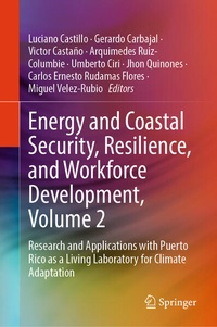 Enlarge image Cover: Energy and Coastal Security, Resilience, and Workforce Development, Volume 2 - Springer