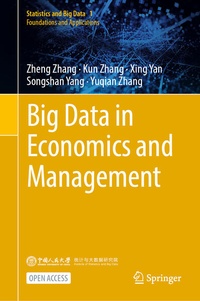 Enlarge image Cover: Big Data in Economics and Management - Springer