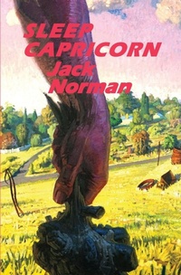 Abbildung von: Sleep Capricorn - Bonfire Books
