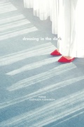 Cover: Dressing in the Dark - Lynx House Press
