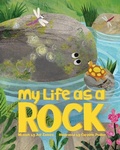 Cover: My Life as a Rock - Reycraft Books